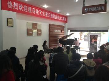 BG大游艺术家王雁教授大师班--桂林悦之声琴行活动报道