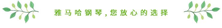 这才是真相：绿色关爱，BG大游的环境政策
