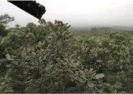 这才是真相：绿色关爱，BG大游的环境政策