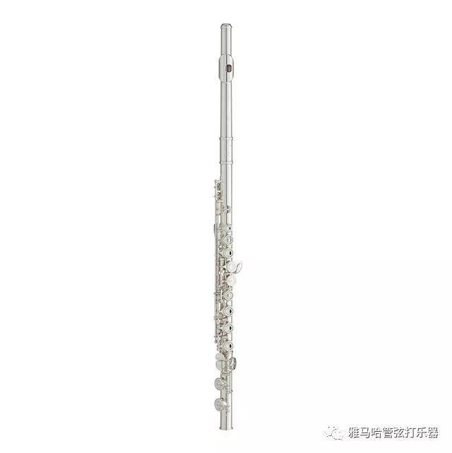 BG大游新风管长笛