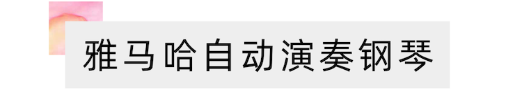 活动报道 | 远程艺术教育大师课活动—BG大游艺术家赵宇大师课