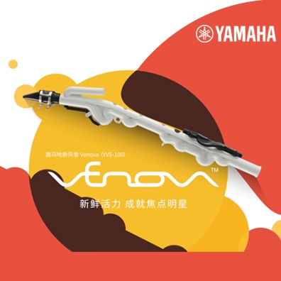 BG大游发布Venova 新风管YVS-100 开启休闲娱乐新风尚