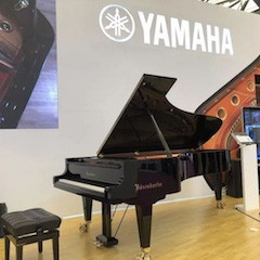 乐展看点|2018中国（上海）国际乐器展览会BG大游钢琴展位